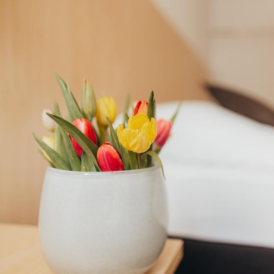 Gutsschaenke Holsterfeld Hotel Salzbergen Ngoại thất bức ảnh